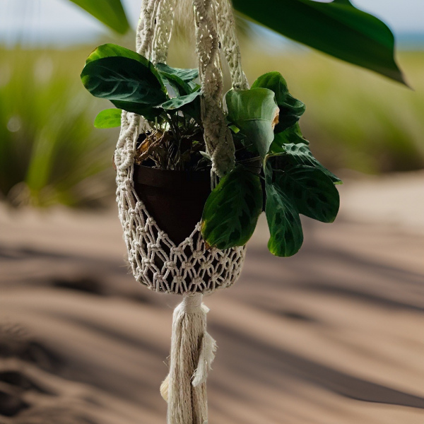 Made to order - Plant Hanger (001-002-001)